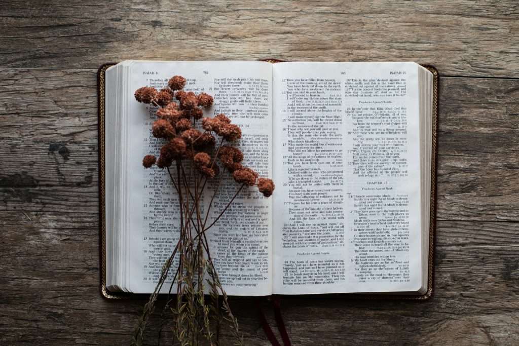 a bunch of dried flowers on a book
