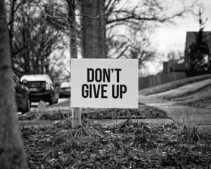 a sign on a tree